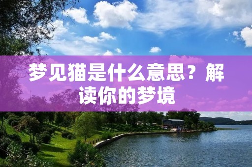 梦见猫是什么意思？解读你的梦境