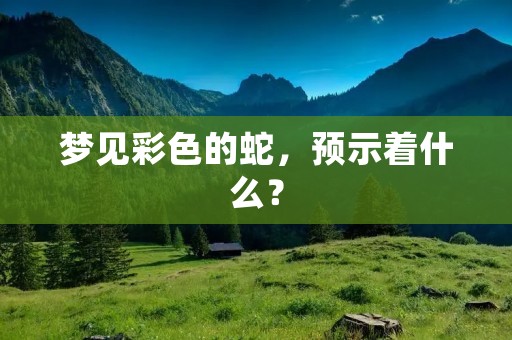 梦见彩色的蛇，预示着什么？