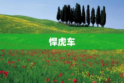 悍虎车：霸气十足的越野利器