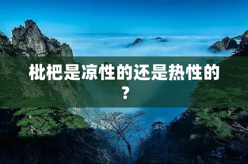 枇杷是凉性的还是热性的?