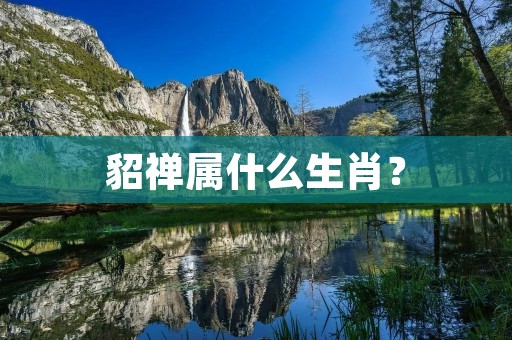 貂禅属什么生肖？