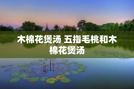 木棉花煲汤 五指毛桃和木棉花煲汤