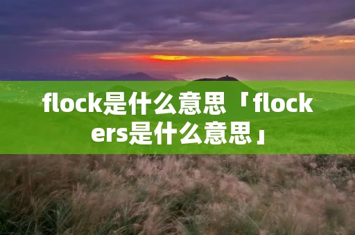 flock是什么意思「flockers是什么意思」