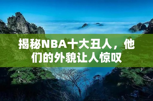揭秘NBA十大丑人，他们的外貌让人惊叹