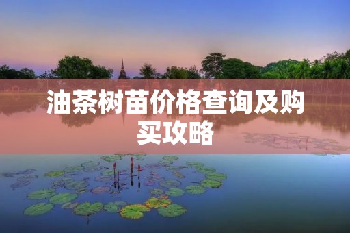 油茶树苗价格查询及购买攻略