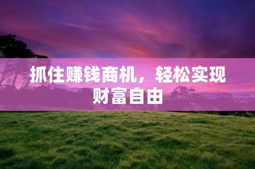 抓住赚钱商机，轻松实现财富自由