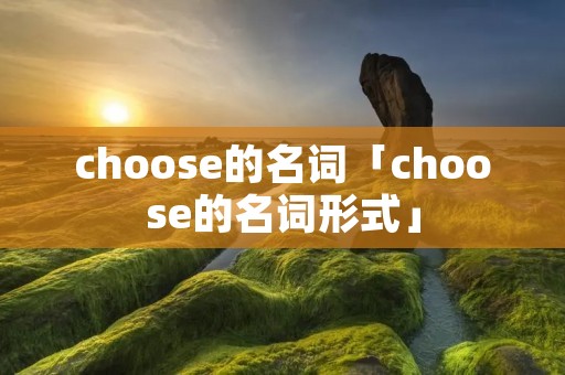 choose的名词「choose的名词形式」