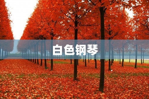 白色钢琴:美丽与优雅的代表 白色钢琴:美丽与优雅的代表