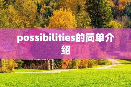 possibilities的简单介绍