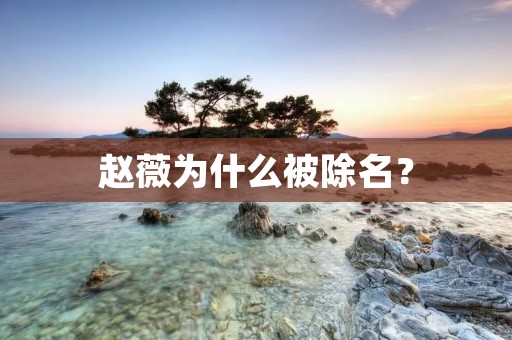 赵薇为什么被除名？