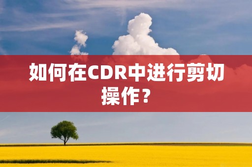 如何在CDR中进行剪切操作？