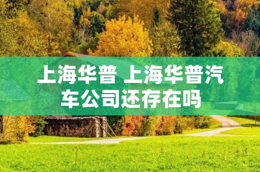 上海华普 上海华普汽车公司还存在吗