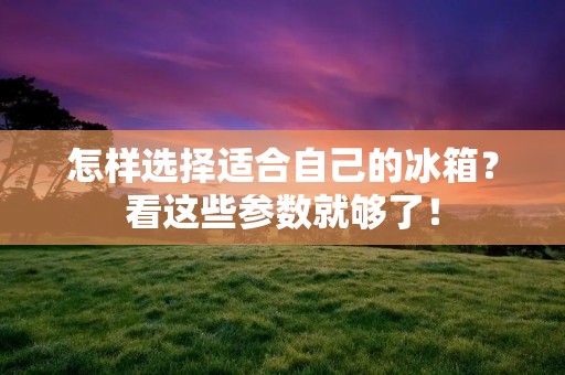 怎样选择适合自己的冰箱？看这些参数就够了！