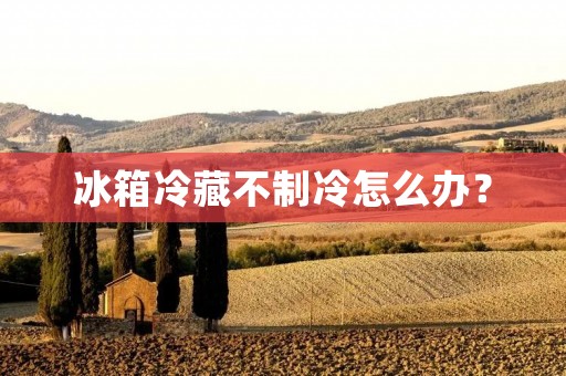 冰箱冷藏不制冷怎么办？