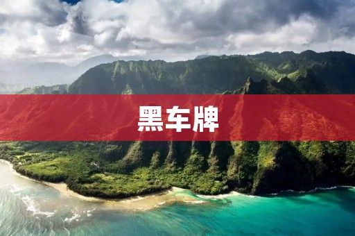 **牌：不法交通工具的流行现象