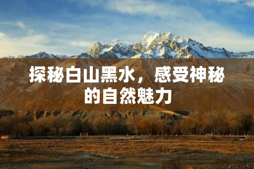 探秘白山黑水，感受神秘的自然魅力