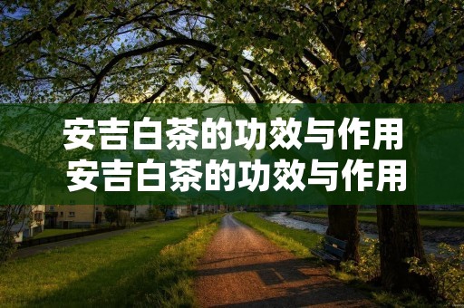 安吉白茶的功效与作用 安吉白茶的功效与作用禁忌