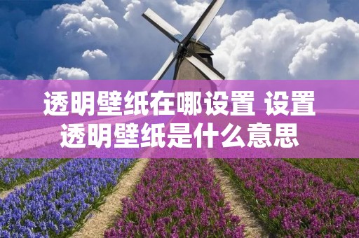透明壁纸在哪设置 设置透明壁纸是什么意思