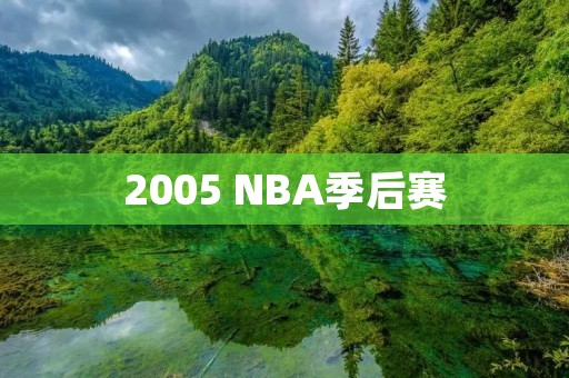 2005 NBA季后赛:历史性的一季 2005 NBA季后赛:历史性的一季