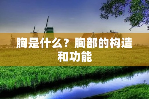 胸是什么?胸部的构造和功能 胸是什么?胸部的构造和功能