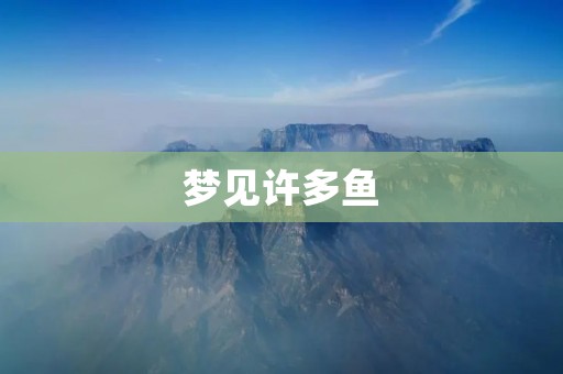 梦见许多鱼：寓意和预兆解析