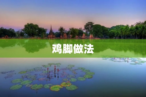 鸡脚做法:家常美味,健康又营养! 鸡脚做法:家常美味,健康又营养!