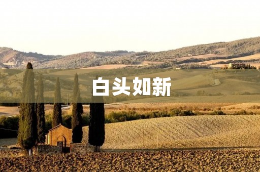 白头如新：如何让头发回到年轻时的状态
