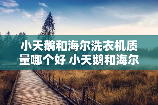 小天鹅和海尔洗衣机质量哪个好 小天鹅和海尔洗衣机哪个好知乎