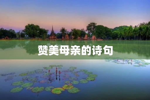 赞美母亲的诗句