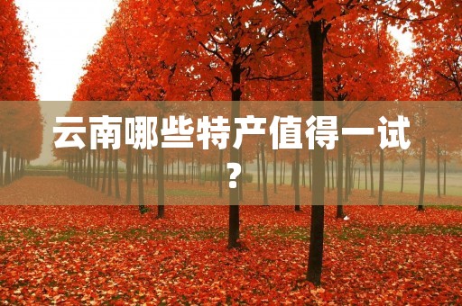 云南哪些特产值得一试?