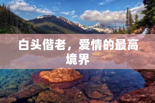 白头偕老，爱情的最高境界