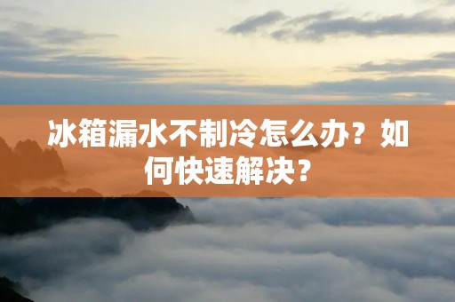 冰箱漏水不制冷怎么办?如何快速解决? 冰箱漏水不制冷怎么办?如何快速解决?