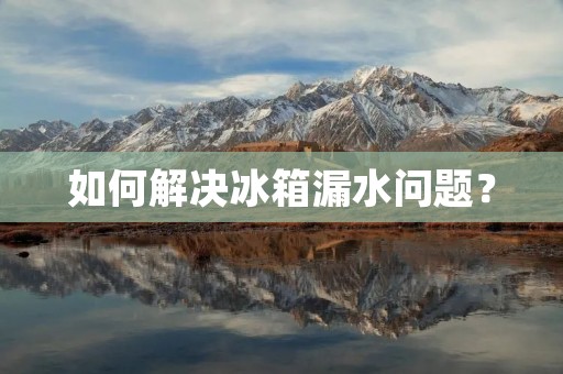 如何解决冰箱漏水问题？