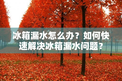 冰箱漏水怎么办?如何快速解决冰箱漏水问题? 冰箱漏水怎么办?如何快速解决冰箱漏水问题?