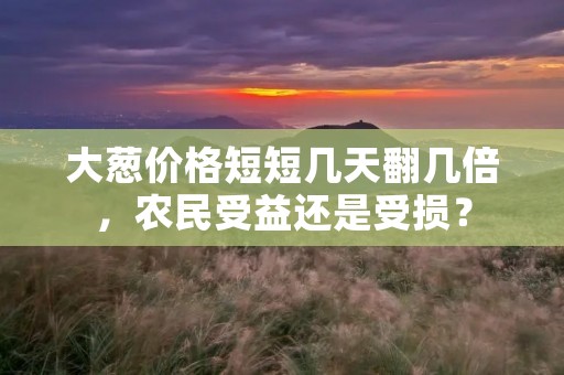 大葱价格短短几天翻几倍,农民受益还是受损?