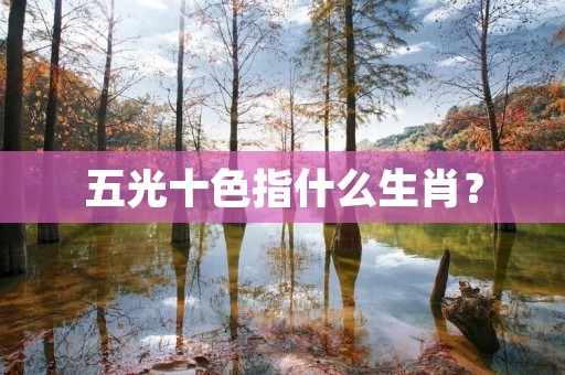 五光十色指什么生肖?