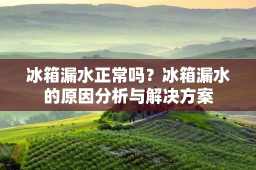 冰箱漏水正常吗？冰箱漏水的原因分析与解决方案