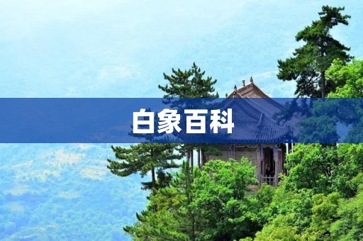 白象百科：全面了解白象的详细知识