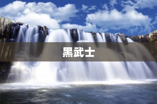黑武士:星球大战中的经典角色 黑武士:星球大战中的经典角色
