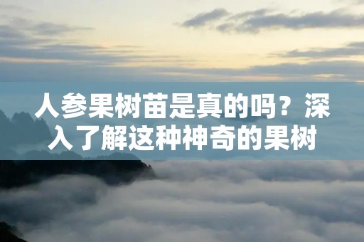 人参果树苗是真的吗?深入了解这种神奇的果树苗