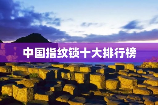 中国指纹锁十大排行榜