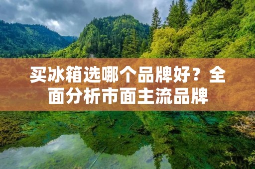 买冰箱选哪个品牌好？全面分析市面主流品牌