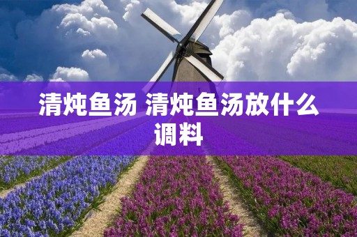 清炖鱼汤 清炖鱼汤放什么调料