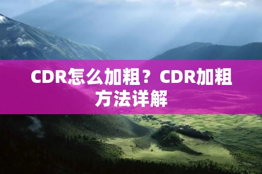 CDR怎么加粗?CDR加粗方法详解 CDR怎么加粗?CDR加粗方法详解