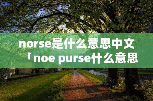 norse是什么意思中文「noe purse什么意思」 norse是什么意思中文「noe purse什么意思」