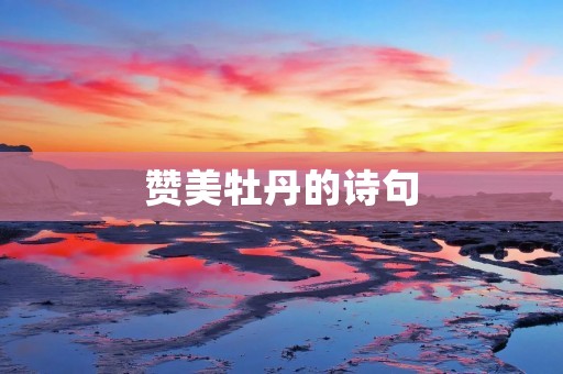 赞美牡丹的诗句
