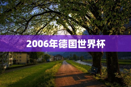 2006年德国世界杯：足球盛宴再度来袭