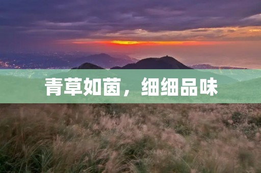 青草如茵,细细品味
