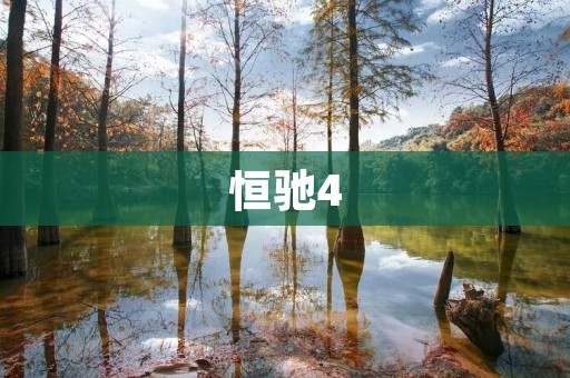 恒驰4：电动车市场的新贵