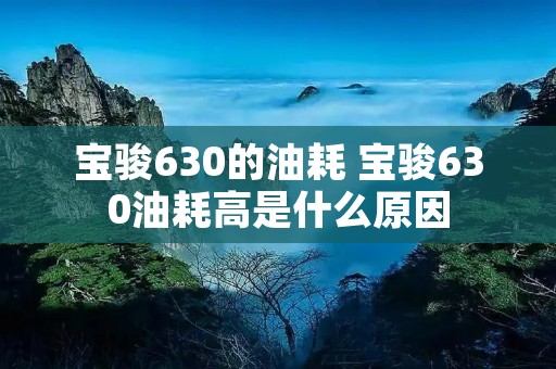 宝骏630的油耗 宝骏630油耗高是什么原因